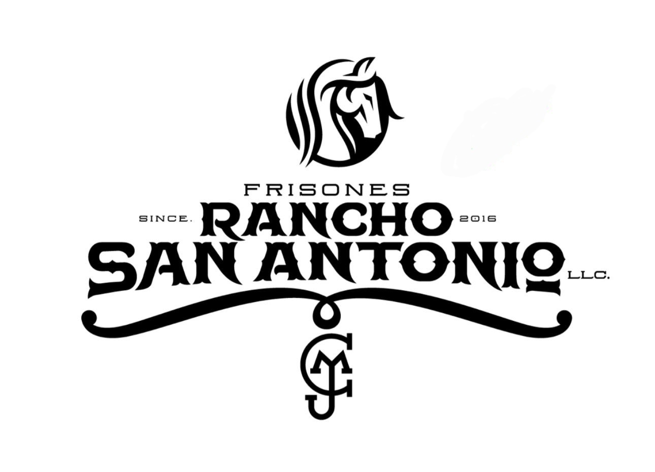 frisonesranchosanantonio.com